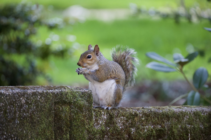 镜头丨小雪藏丰