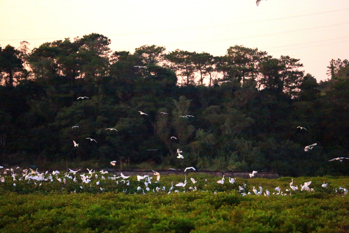镜头丨小雪藏丰