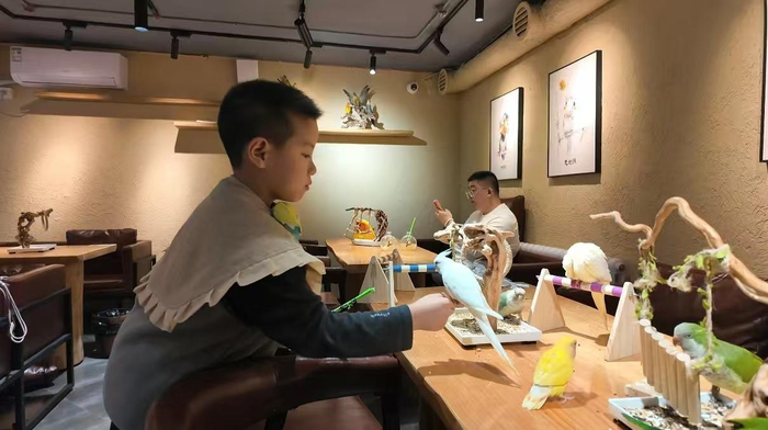 店内鹦鹉与小朋友进行互动