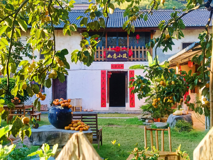 镜头丨小雪藏丰