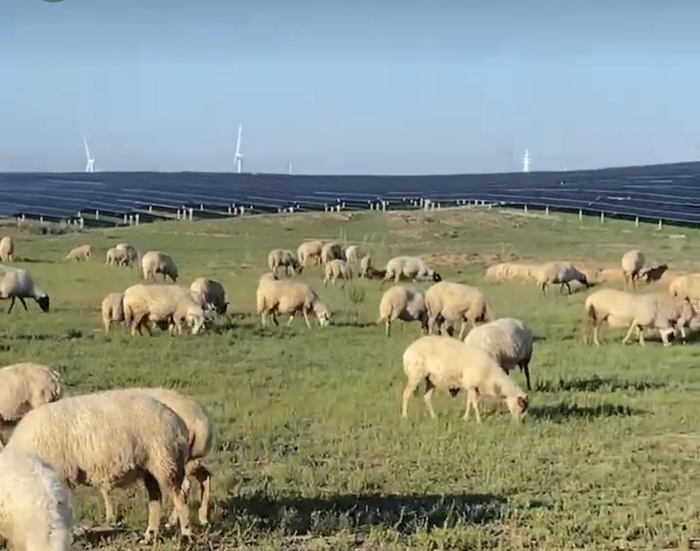 草原上建起光伏发电项目（来源：受访者提供的资料图）
