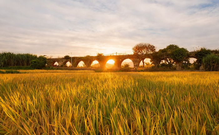 镜头丨小雪藏丰