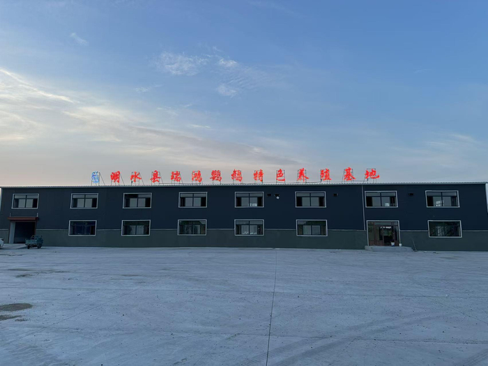 明水县瑞鸿鹦鹉养殖基地外景