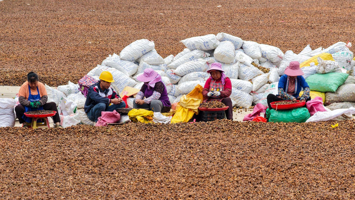 镜头丨小雪藏丰