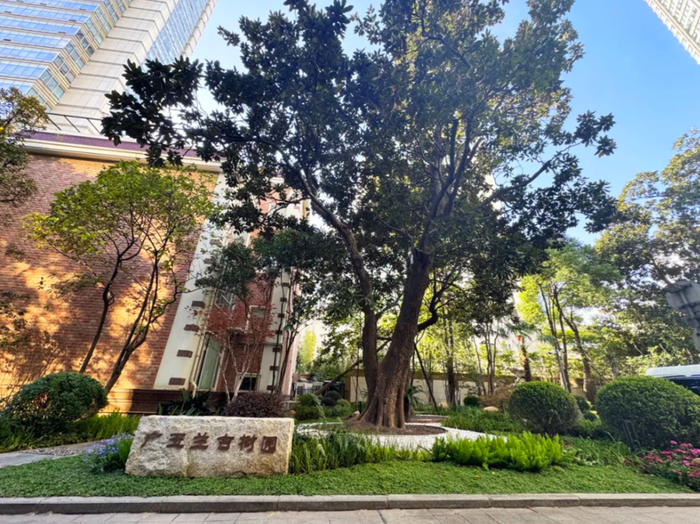 广玉兰古树园。 来源：静安区绿化市容局