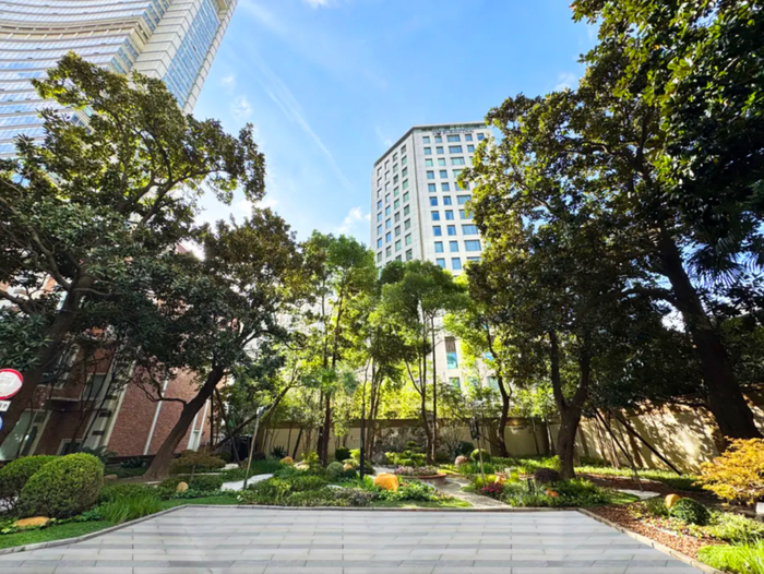 广玉兰古树园。 来源：静安区绿化市容局