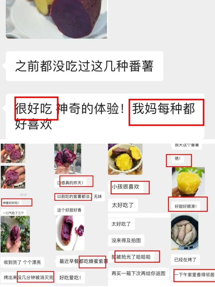 （吃过的真的都在夸！）