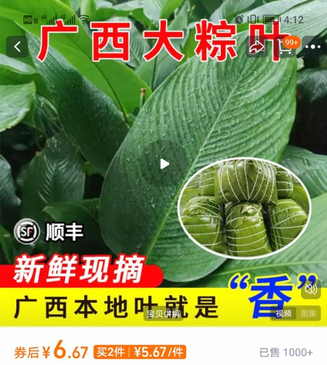     南宁本地商家出售的粽叶、紫苏叶、山黄皮叶等受欢迎。（网络截图）