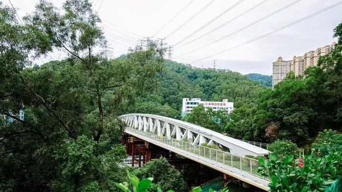 △鲲鹏径二号桥