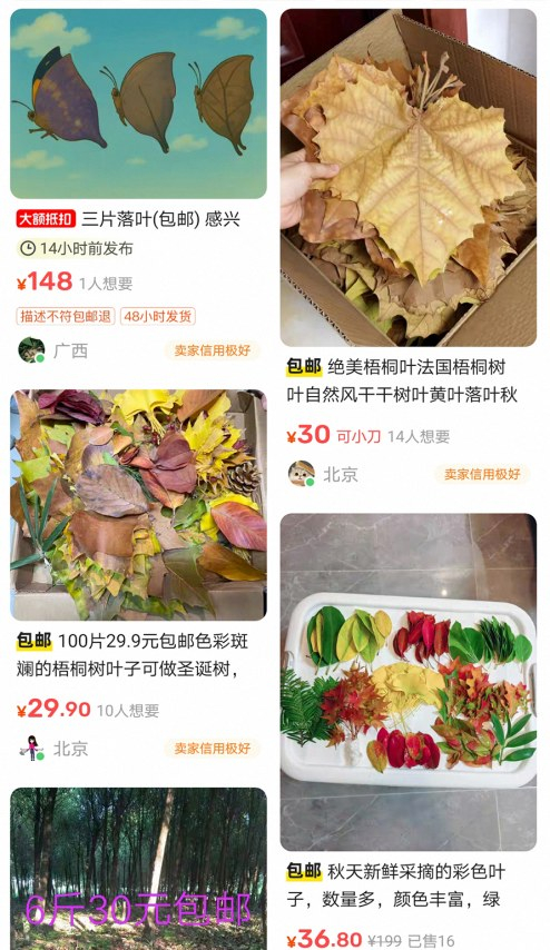     外地网友出售银杏叶等落叶。（网络截图）