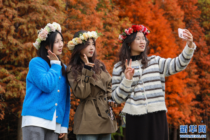 游客在湿地公园内拍照打卡（11月15日摄）。新华网发（郑益 摄）