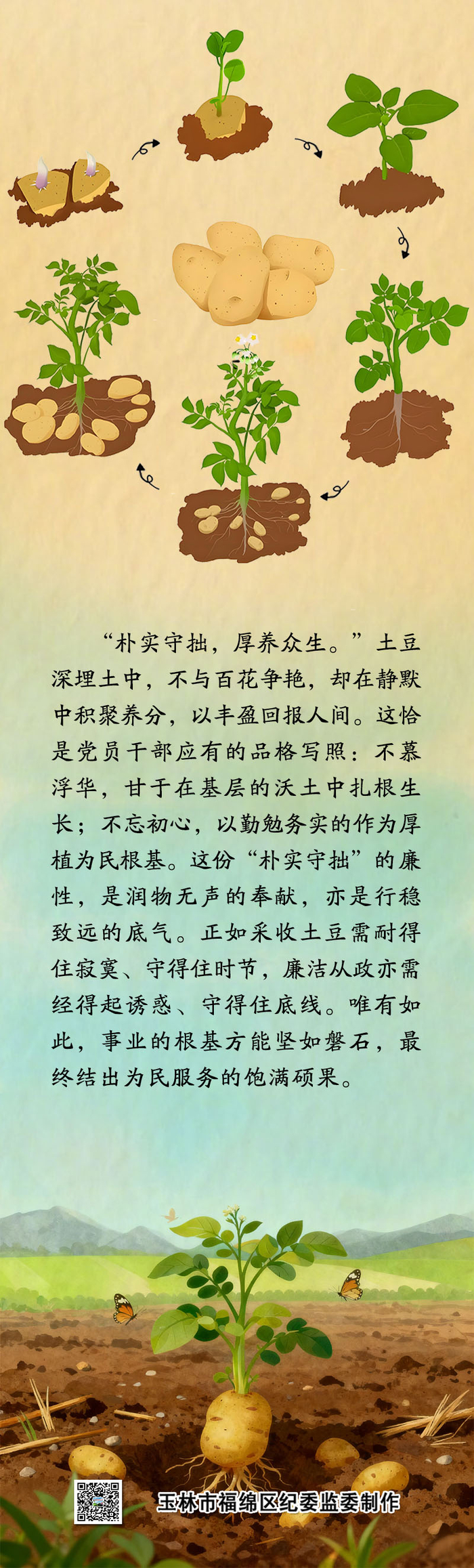 中药喻清廉丨土豆：朴实守拙 厚养众生