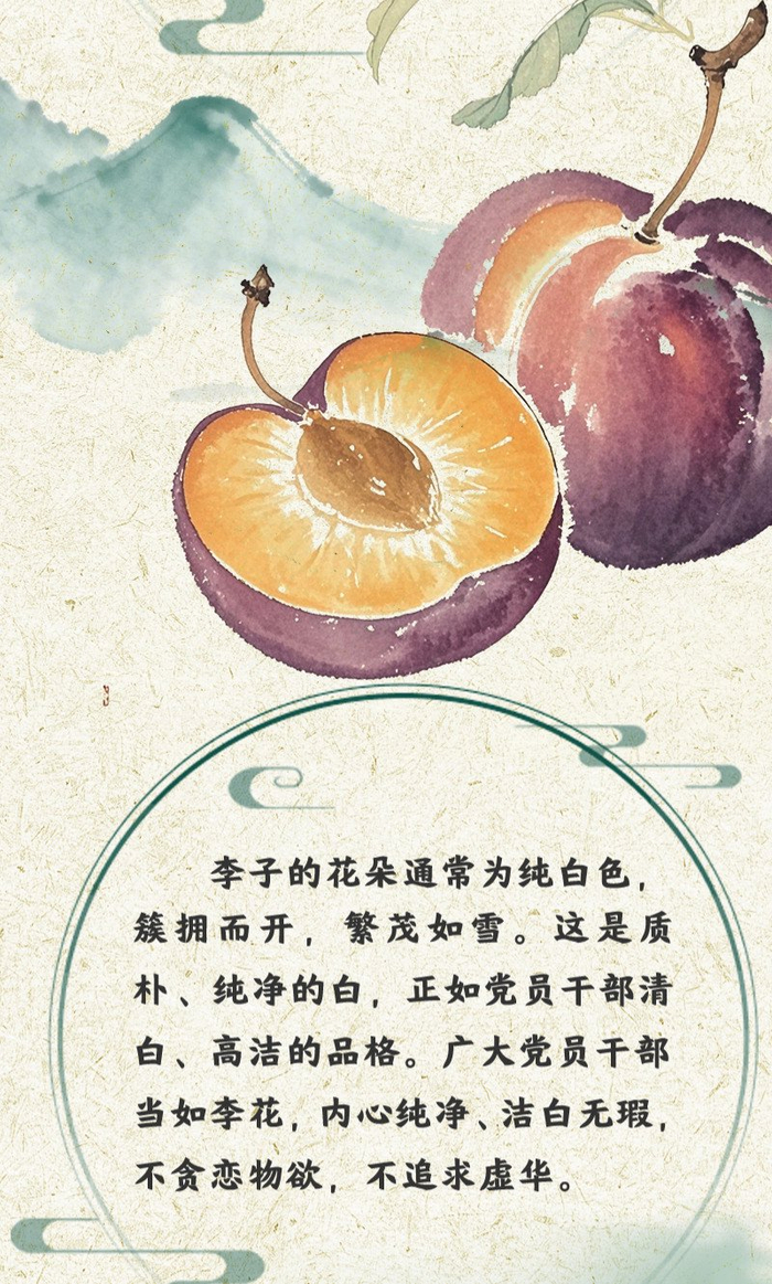 “果说”廉韵丨李子：清白立世 守心若李