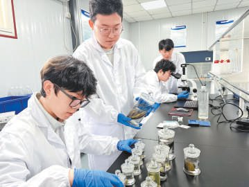 学生们正在实验室内做研究。本报记者 陈强摄