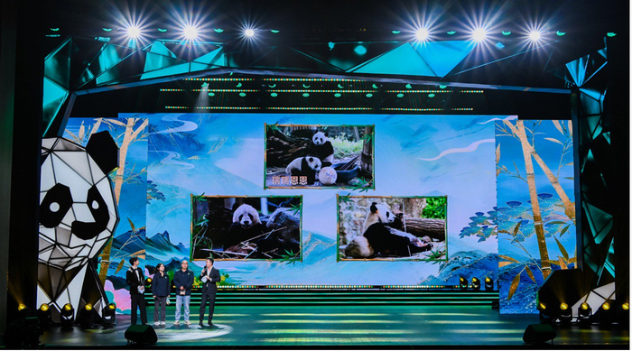 图为熊猫“瑞瑞”“恩恩”生活图在晚会现场展示