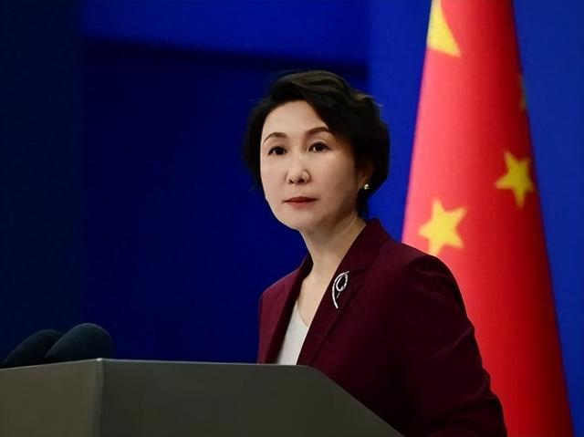 外交部发言人毛宁 资料图（外交部网站）