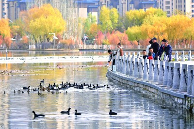     甘肃定西市，市民在公园内赏景游玩。新华社发