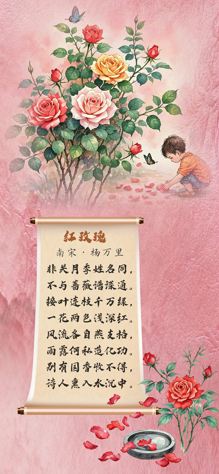 花寄廉语丨玫瑰：红瓣映心 廉韵流芳