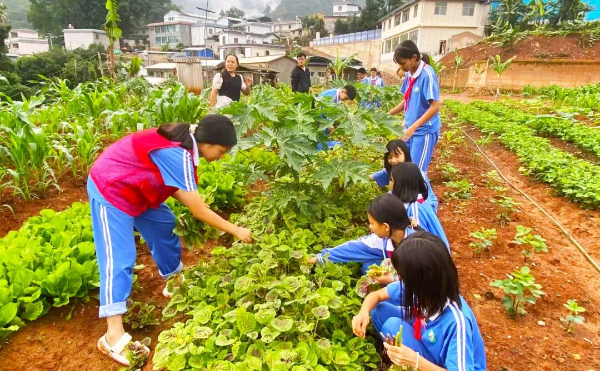 镇康县“田间思政课”。图片来源于今日临沧
