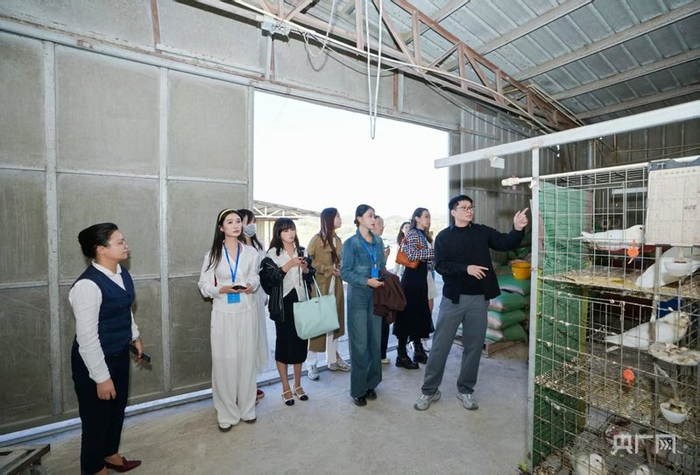 达人们在鸽舍了解鸽子养殖情况（央广网记者 张顺鹏 摄）
