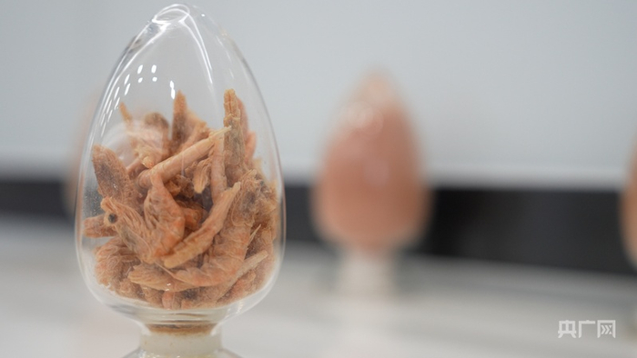 特殊保存的南极磷虾（央广网记者  顾炀威  摄）