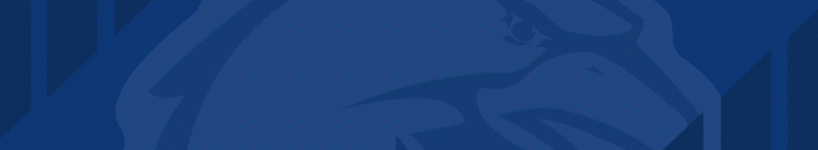 鹰击长空决胜“篮”天！青岛男篮2025-26赛季出征仪式今日举行