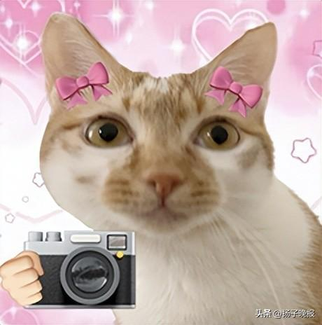 来源：外研社UNIPUS、中国日报双语新闻