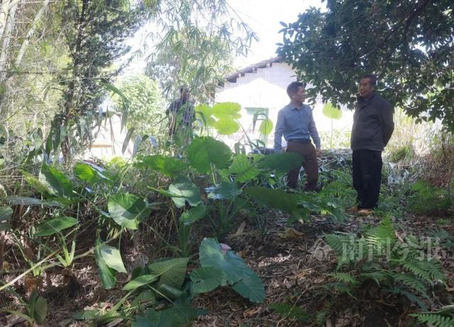 柳城县文化保护工作人员在现场了解情况。通讯员汤晓逵 摄 