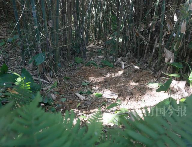 铜鼓出土的位置。通讯员汤晓逵 摄 