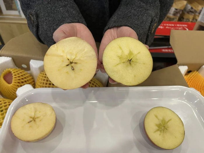 工作人员展示冰糖心苹果（右侧）与普通苹果（左侧）的区别
