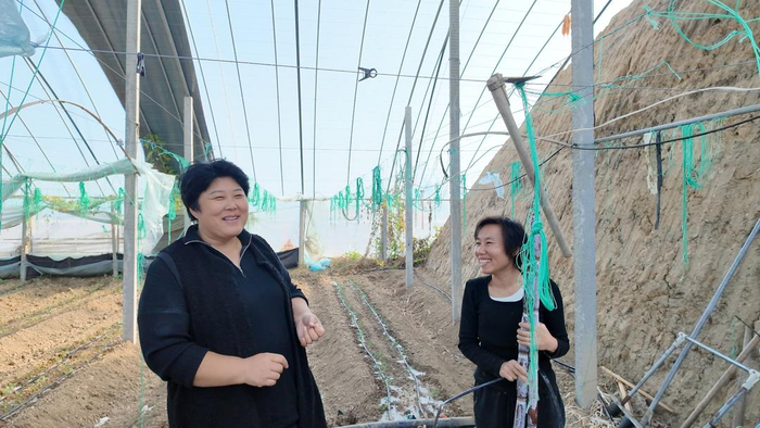 朱秀芹向刘彩庄村大棚种植户宣传托育服务