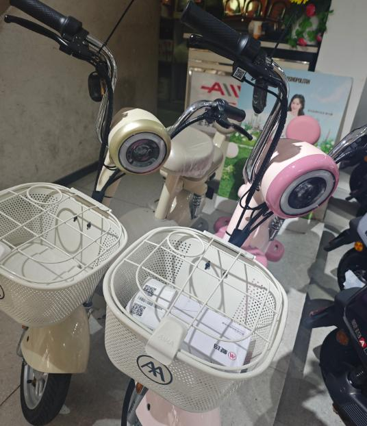 新国标电动自行车