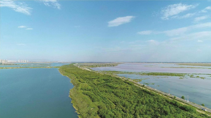 包头黄河国家湿地公园小白河片区。（资料图）市林草局提供
