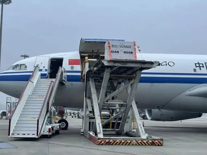 ​11月26日，“欢欢”和“圆仔”平安回国。（图源：央视新闻）