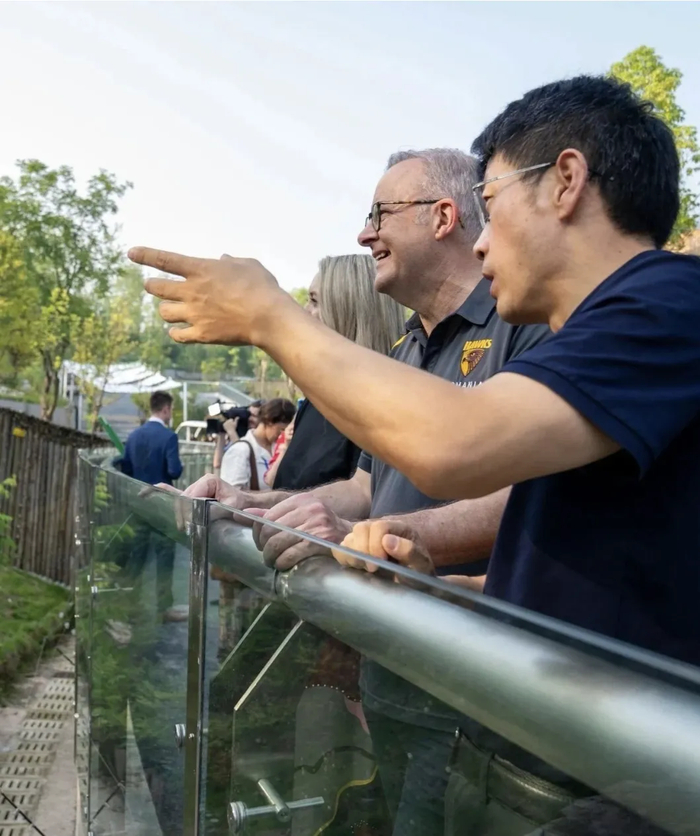 ​2025年7月17日，澳大利亚总理阿尔巴尼斯一行到访成都大熊猫繁育研究基地。（图源：澳大利亚驻成都总领事馆）