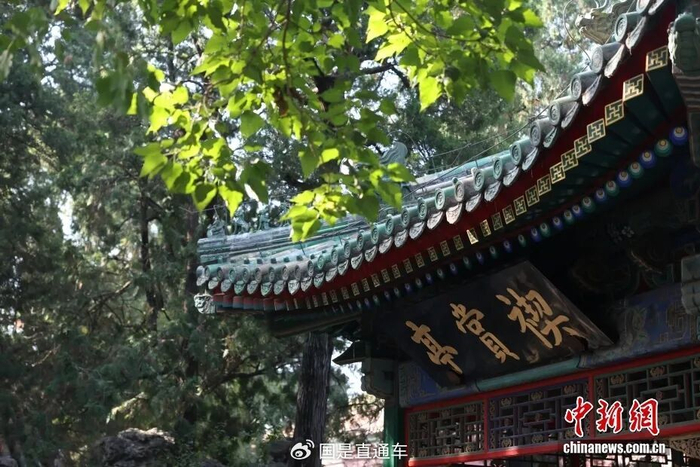 资料图：故宫“乾隆花园”景色，图为禊赏亭。中新社记者 蒋启明 摄