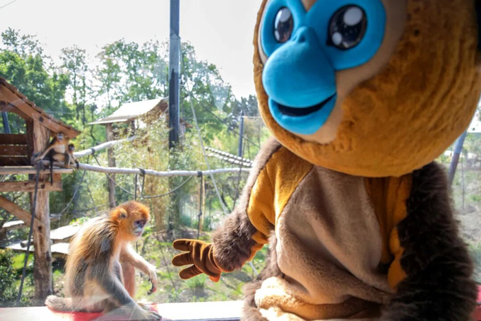 图/中新社发 博瓦勒动物园摄