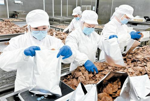     11月21日，河北汉兴祥食品有限公司生产车间，工人们正在将切好的牛肉片装袋。本报记者 张晓超摄