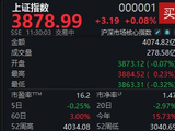 题材股轮动加快，沪指半日微涨0.08%