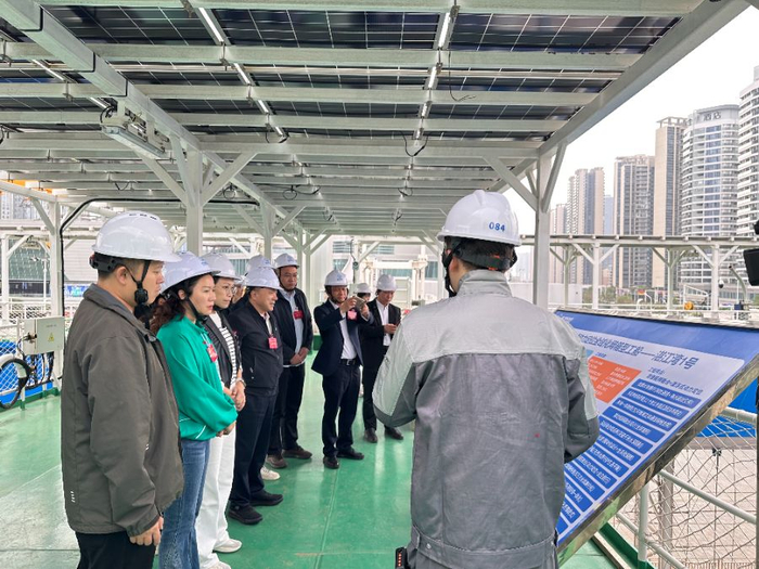 全国人大代表集中视察“湛江湾一号”，张梦琦摄