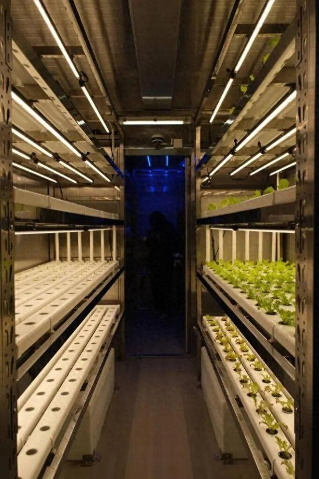 船用混合型智能化种植工场。图片由中船国际提供