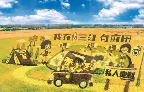 北大荒集团建三江分公司定制农业项目“我在三江有亩田”稻画。　资料图