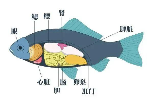 图源：广东卫生在线 