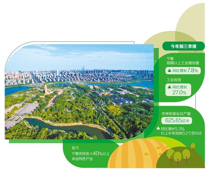     近年来，宁夏聚焦“两化一振兴”，着力推动产城联动、工农互促、城乡互补。图为宁夏银川市远景。刘兴田摄