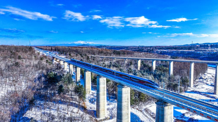 11月28日，沈佳高铁沈白段一列复兴号动车组列车穿过林海雪原。（陈明 摄）