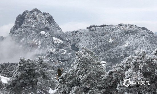　　安徽黄山冬日雾凇景观（图/吴永泽）
