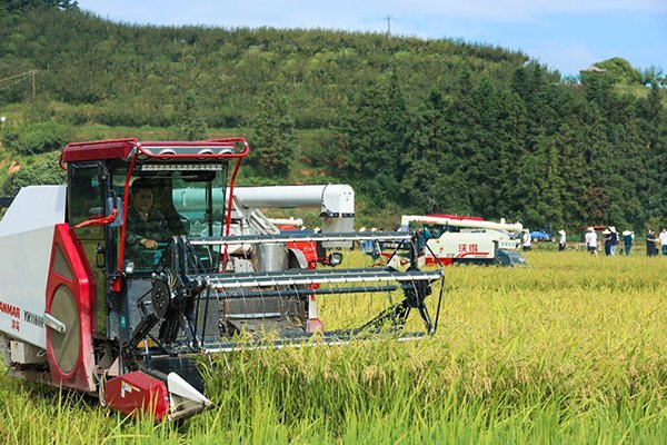 农户使用收割机收获粮食