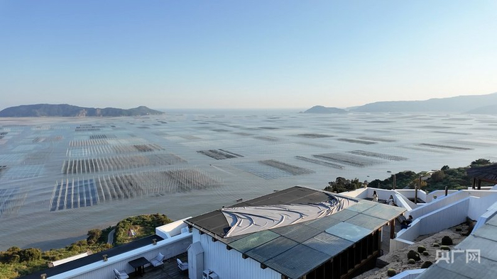 七彩的“紫菜牧场”成为苍南大渔湾一道亮丽的风景（央广网发 陈盛华 摄）