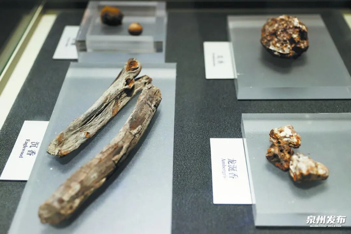 福船是古代“海上丝绸之路”的主力远洋商船，图为宋代古船上的沉香等香料。（陈起拓 摄）