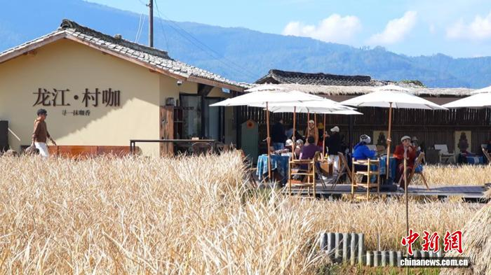 杨萌经营的咖啡店。侯云鹏 摄